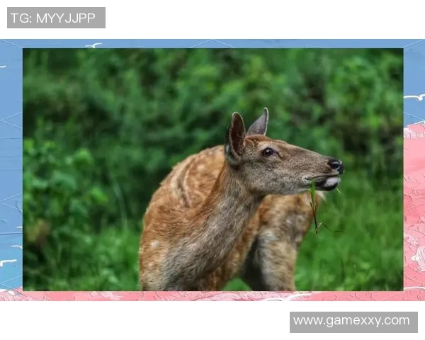 鹿u鹿角与卡的奇妙碰撞探讨它们在文化与艺术中的独特象征意义